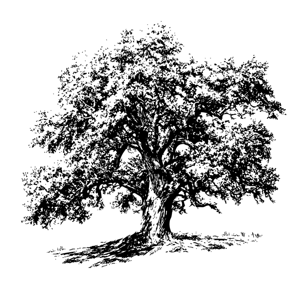 Forlaget OAK - ikon